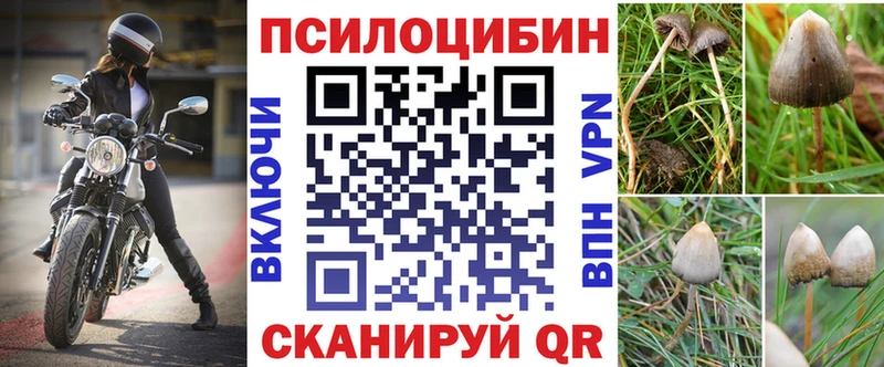Псилоцибиновые грибы Magic Shrooms  Купить закладки  Зерноград 